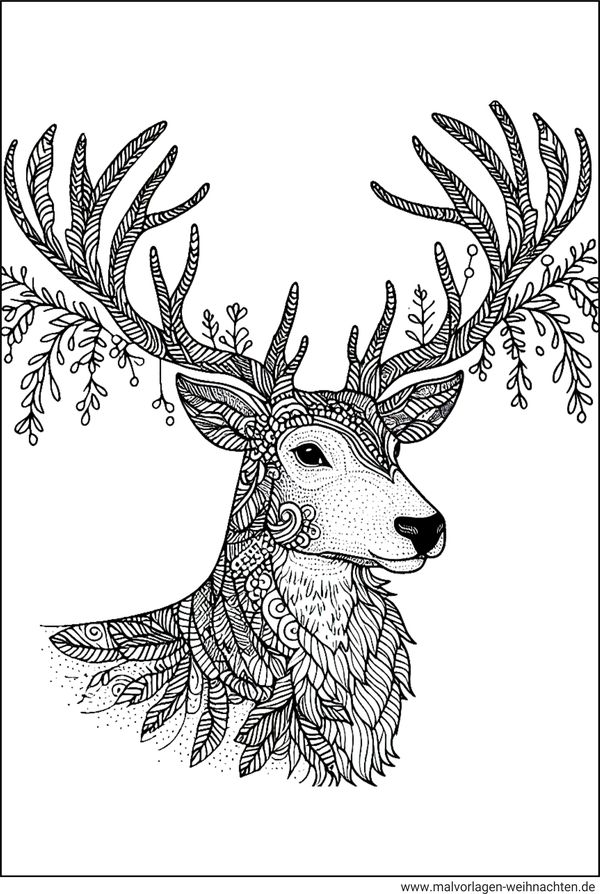 Rentierkopf Ausmalbild für Erwachsene