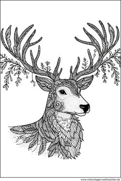 Rentierkopf Ausmalbild für Erwachsene ausdrucken